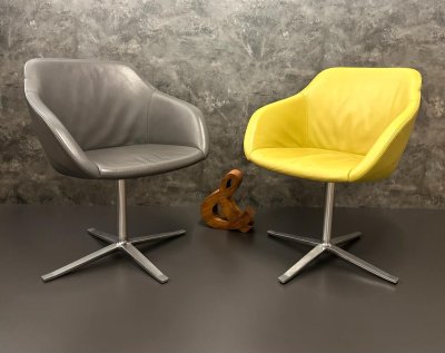Walter Knoll Turtle Chair Leder gelb